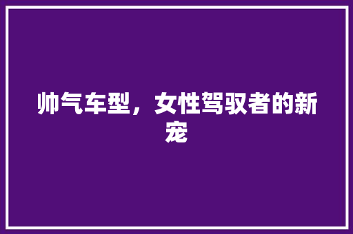 帅气车型，女性驾驭者的新宠