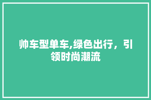 帅车型单车,绿色出行，引领时尚潮流