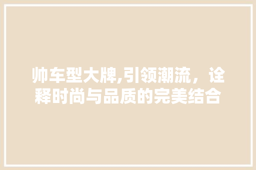 帅车型大牌,引领潮流，诠释时尚与品质的完美结合