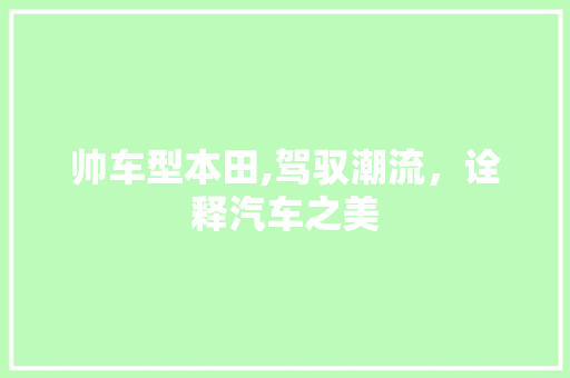 帅车型本田,驾驭潮流，诠释汽车之美