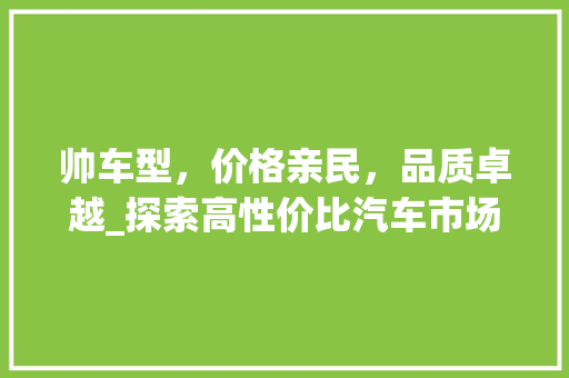 帅车型，价格亲民，品质卓越_探索高性价比汽车市场新趋势