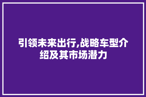 引领未来出行,战略车型介绍及其市场潜力