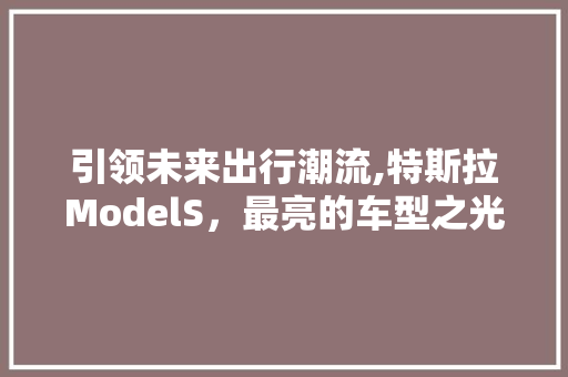 引领未来出行潮流,特斯拉ModelS，最亮的车型之光