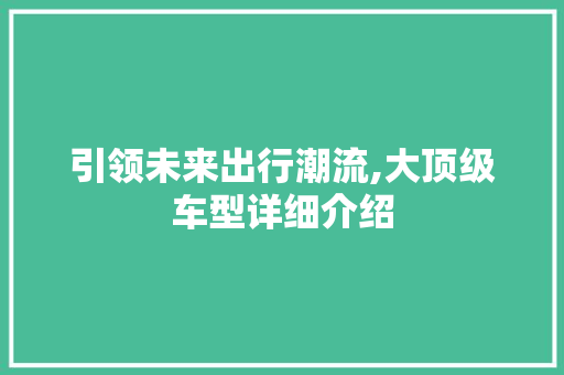 引领未来出行潮流,大顶级车型详细介绍