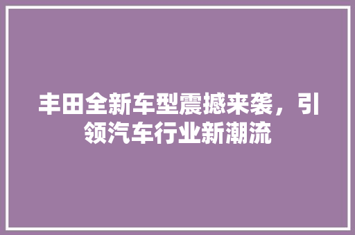 丰田全新车型震撼来袭，引领汽车行业新潮流 车身配件