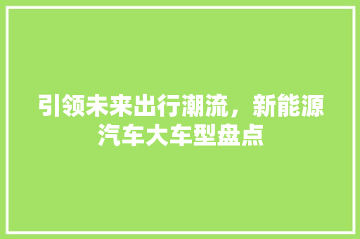 引领未来出行潮流，新能源汽车大车型盘点