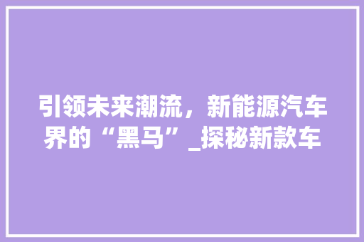 引领未来潮流，新能源汽车界的“黑马”_探秘新款车型