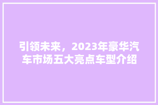 引领未来，2023年豪华汽车市场五大亮点车型介绍