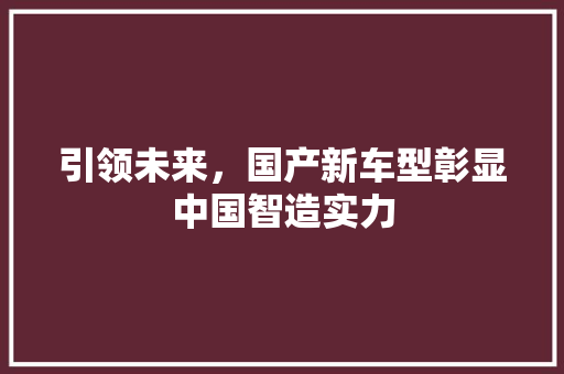 引领未来，国产新车型彰显中国智造实力
