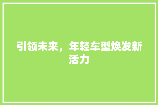 引领未来，年轻车型焕发新活力