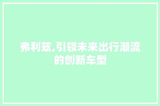 弗利兹,引领未来出行潮流的创新车型