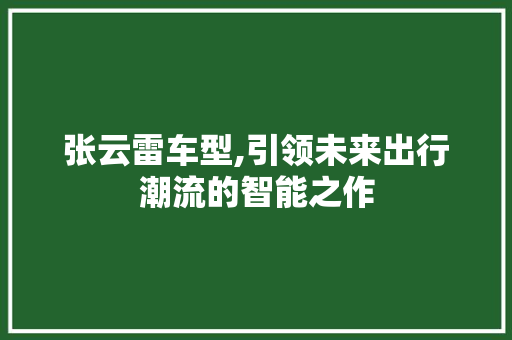 张云雷车型,引领未来出行潮流的智能之作