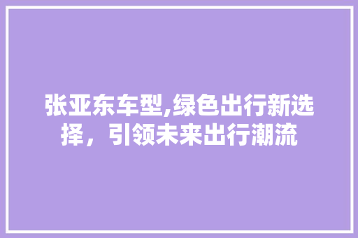 张亚东车型,绿色出行新选择，引领未来出行潮流