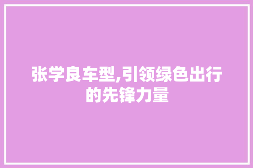 张学良车型,引领绿色出行的先锋力量