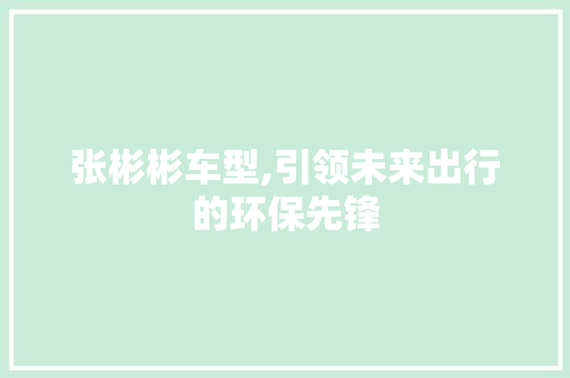 张彬彬车型,引领未来出行的环保先锋