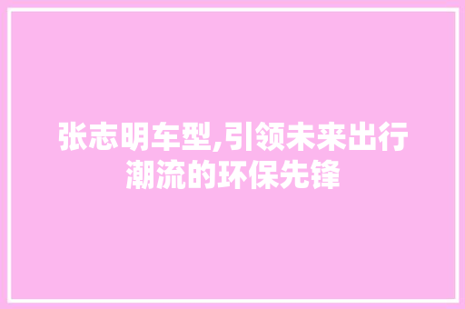 张志明车型,引领未来出行潮流的环保先锋