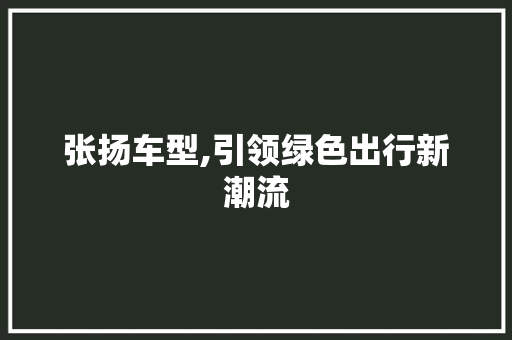 张扬车型,引领绿色出行新潮流