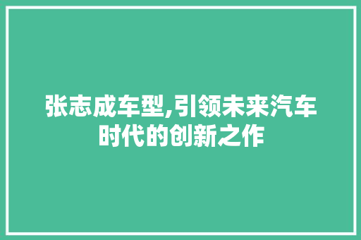 张志成车型,引领未来汽车时代的创新之作