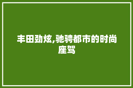 丰田劲炫,驰骋都市的时尚座驾