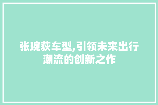 张琬荻车型,引领未来出行潮流的创新之作