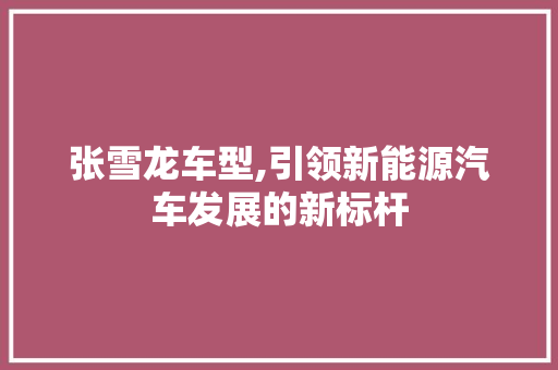 张雪龙车型,引领新能源汽车发展的新标杆