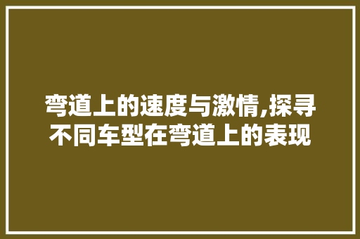 弯道上的速度与激情,探寻不同车型在弯道上的表现