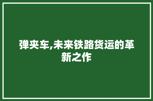 弹夹车,未来铁路货运的革新之作