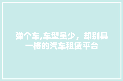 弹个车,车型虽少，却别具一格的汽车租赁平台