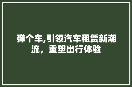 弹个车,引领汽车租赁新潮流，重塑出行体验