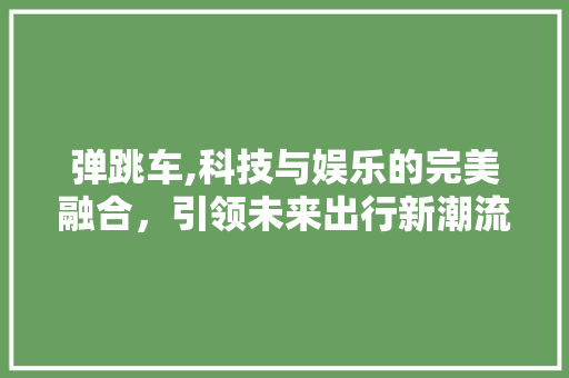 弹跳车,科技与娱乐的完美融合，引领未来出行新潮流
