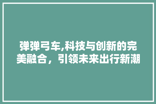 弹弹弓车,科技与创新的完美融合，引领未来出行新潮流