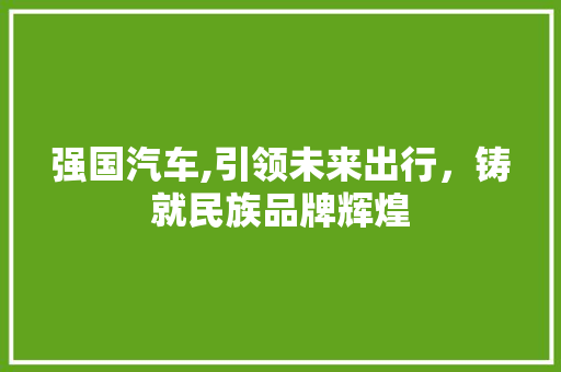 强国汽车,引领未来出行，铸就民族品牌辉煌
