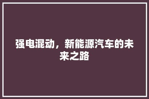 强电混动，新能源汽车的未来之路