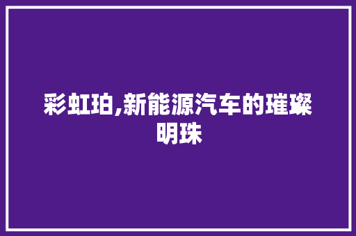 彩虹珀,新能源汽车的璀璨明珠