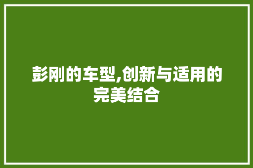 彭刚的车型,创新与适用的完美结合