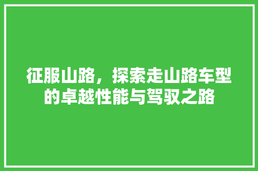 征服山路，探索走山路车型的卓越性能与驾驭之路
