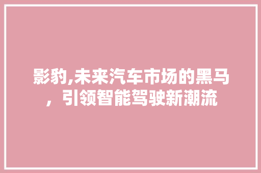 影豹,未来汽车市场的黑马，引领智能驾驶新潮流