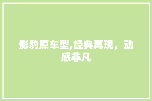 影豹原车型,经典再现，动感非凡 汽车配件