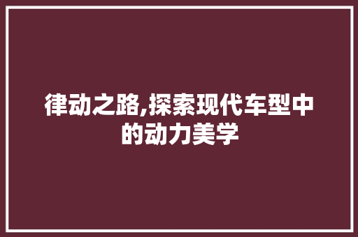 律动之路,探索现代车型中的动力美学