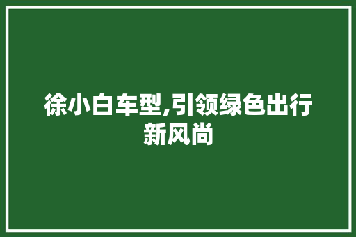 徐小白车型,引领绿色出行新风尚