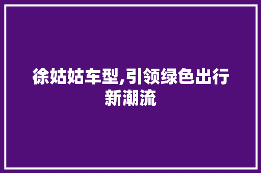 徐姑姑车型,引领绿色出行新潮流