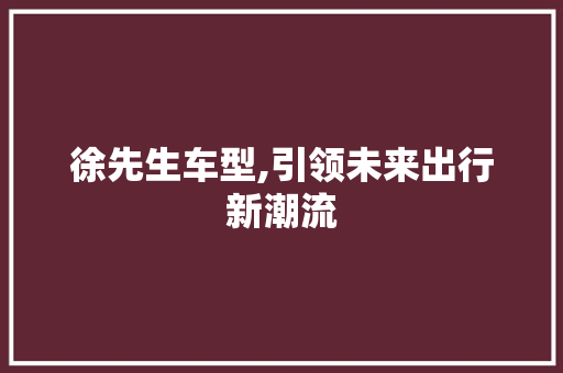 徐先生车型,引领未来出行新潮流