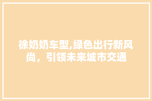 徐奶奶车型,绿色出行新风尚，引领未来城市交通