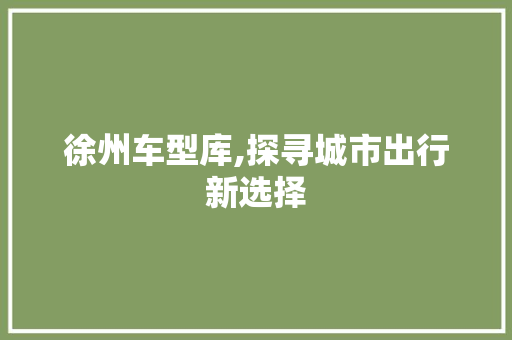 徐州车型库,探寻城市出行新选择