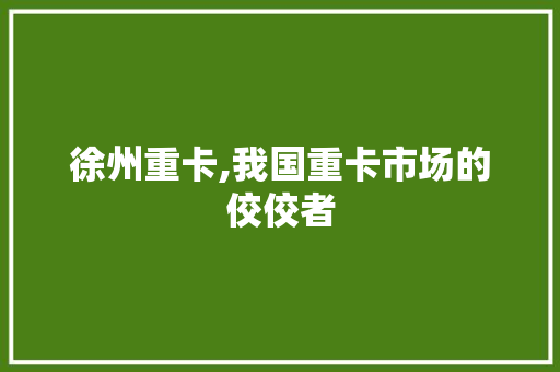 徐州重卡,我国重卡市场的佼佼者