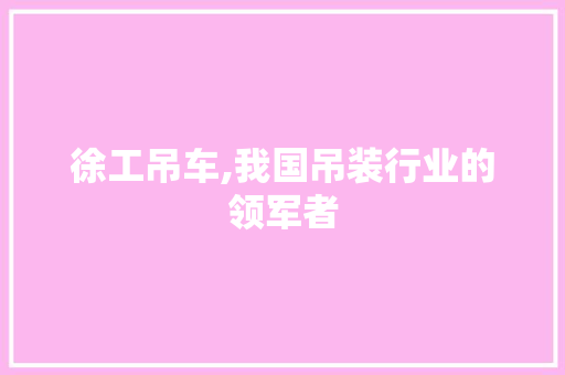 徐工吊车,我国吊装行业的领军者