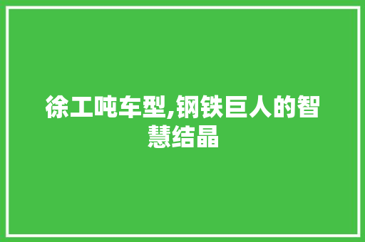 徐工吨车型,钢铁巨人的智慧结晶
