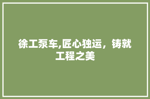 徐工泵车,匠心独运，铸就工程之美