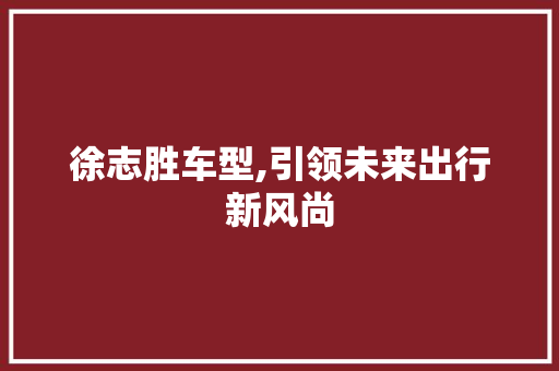 徐志胜车型,引领未来出行新风尚