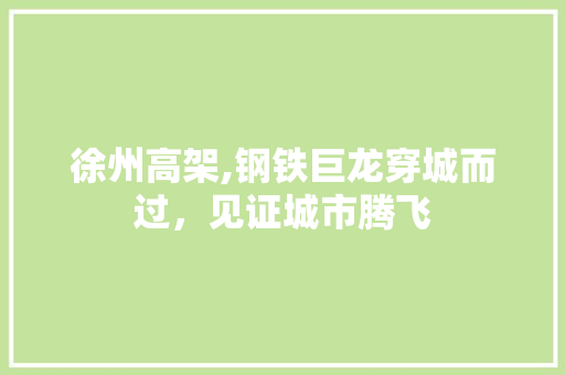 徐州高架,钢铁巨龙穿城而过，见证城市腾飞